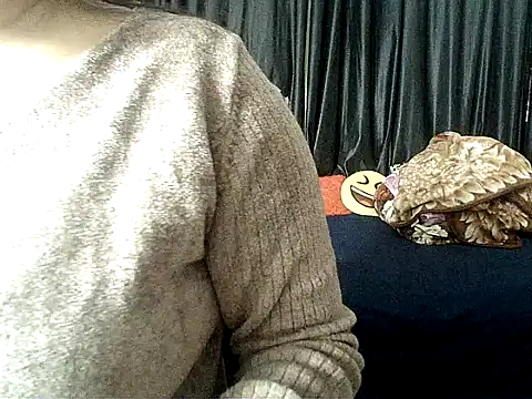 Anaconda-Mall online show from 12/04/25, 07:02