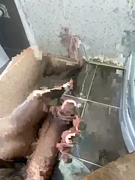 BatchedTracer online show from 04/03/26, 10:49