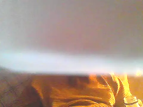 PenerPanShibari online show from 12/16/25, 09:02