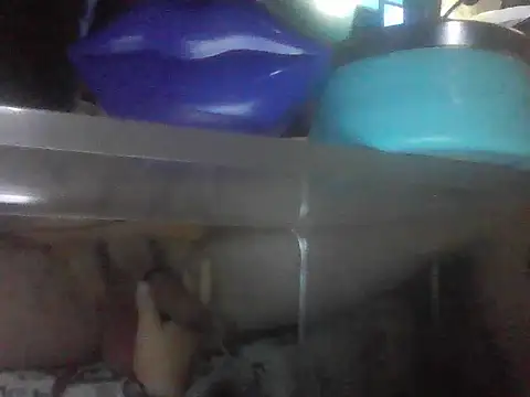 PenerPanShibari online show from 07/05/26, 09:54