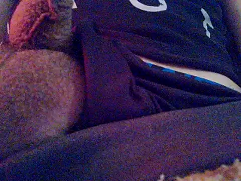 PenerPanShibari online show from 11/04/25, 04:11