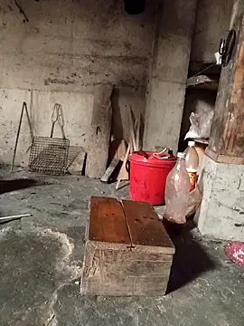 TinTin321 online show from 03/03/26, 05:25