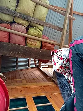 TinTin321 online show from 10/24/25, 02:32