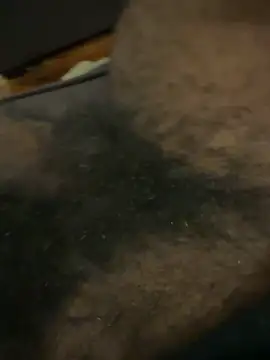 BigBDMari online show from 02/05/26, 02:29