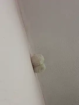 Snapshot of saranghae_ chatting on 02/28/26, 03:39 saranghae online show from 02/28/26, 03:39