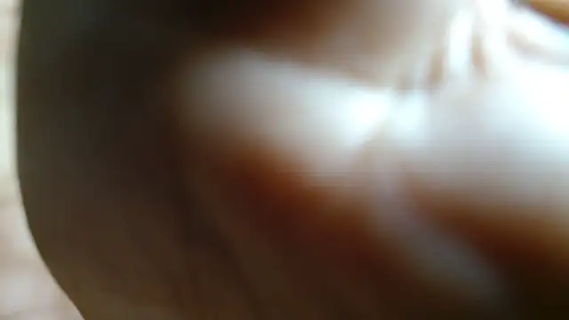 JUSTFORRICH online show from 06/27/26, 11:00