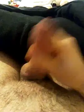 chrisdic27 online show from 03/08/26, 05:44