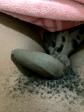 midravelta online show from 09/23/25, 07:43