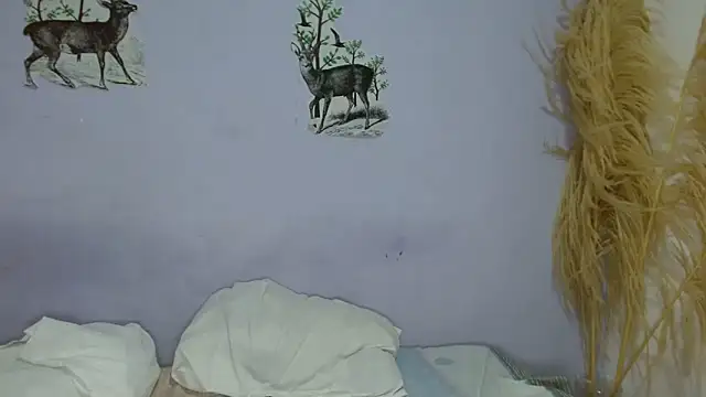 chica sexy05 online show from 02/04/26, 08:15