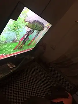 Snapshot of candospiriy chatting on 02/23/26, 03:52 candospiriy online show from 02/23/26, 03:52