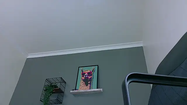 MrFox   online show from 03/12/26, 07:29