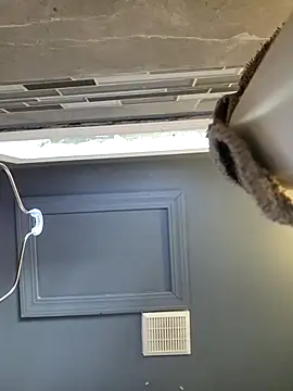 chocolate bella online show from 03/28/26, 12:50