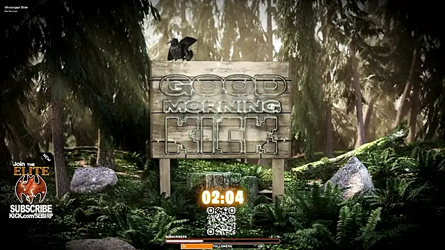 sebirp online show from 02/03/26, 11:43