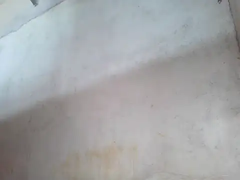 Snapshot of star_ass chatting on 10/19/25, 11:51 star ass online show from 10/19/25, 11:51