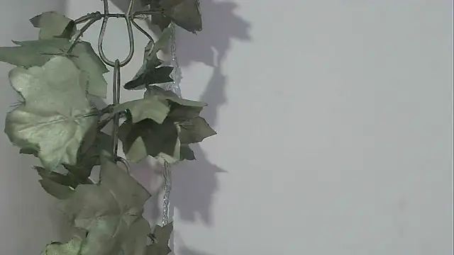 angelainparis28 online show from 11/17/25, 08:24