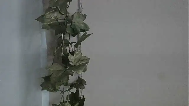 angelainparis28 online show from 12/02/25, 05:09