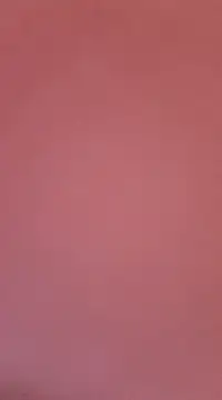 MEAT4urGRILL online show from 02/12/25, 07:13