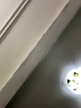 lynn9000 online show from 11/29/25, 09:09