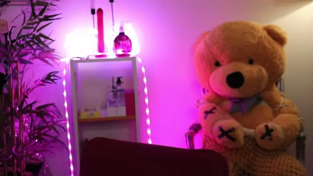 NovaHollisx online show from 04/23/26, 04:19