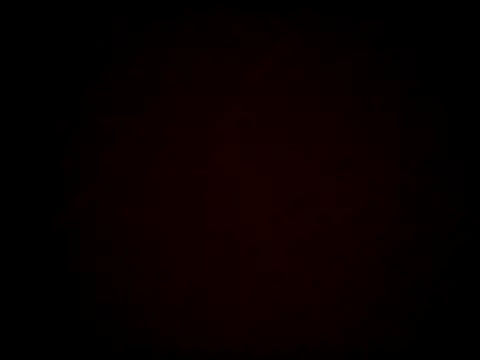 Snapshot of SparklesB1tch chatting on 10/15/25, 06:49 SparklesB1tch online show from 10/15/25, 06:49