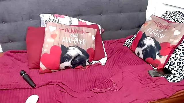 chockclitx5 online show from 02/17/26, 02:31