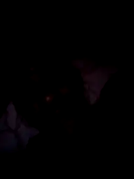 Steehood online show from 01/10/26, 05:47