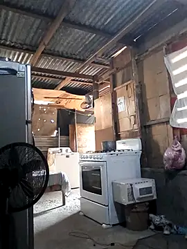 Steehood online show from 11/20/25, 02:51