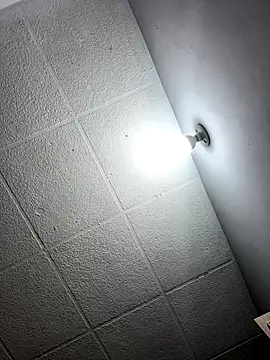 LICEET online show from 11/20/25, 11:47