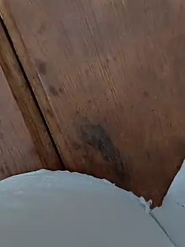 Gusttavotesudoxxvvc online show from 09/20/25, 04:06