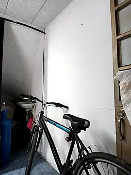 haashkyo online show from 11/29/25, 07:36