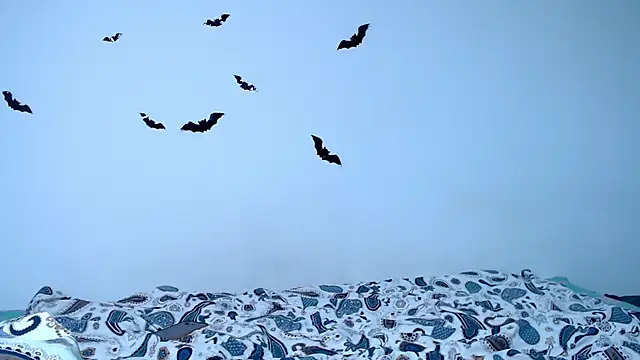 litle owl online show from 11/09/25, 06:23