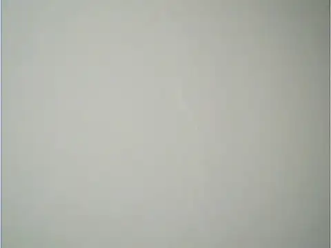 fcach2244 online show from 11/18/25, 02:20