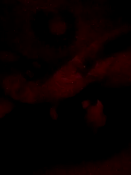 sarahkat86 online show from 02/20/26, 06:26