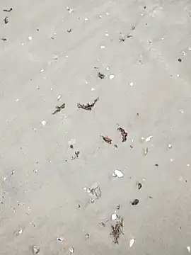 sarahkat86 online show from 04/06/26, 04:52