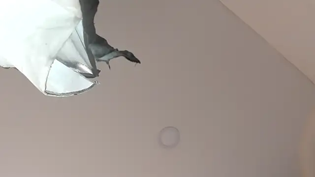 sweet  vanessa1 online show from 03/09/26, 07:39