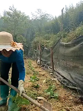 ngocngoc cute online show from 04/15/26, 03:56