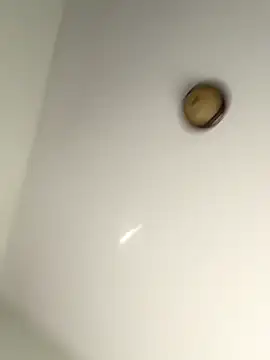 lilcubangoddess online show from 10/28/25, 02:27