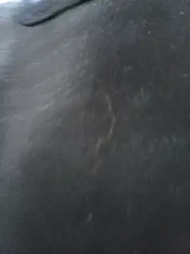 CWQ123 online show from 11/17/25, 11:36