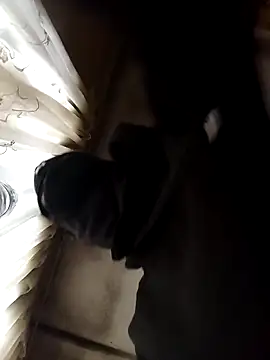 BlessingShikisha online show from 03/20/26, 04:24