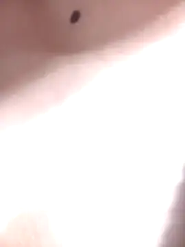 LINA-DALOUA online show from 11/28/25, 03:12