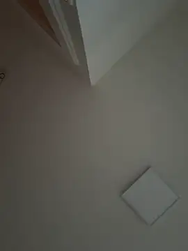 Snapshot of Gipsyboysteve chatting on 11/16/25, 03:17 Gipsyboysteve online show from 11/16/25, 03:17