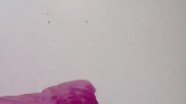 Snapshot of habdiela chatting on 02/18/26, 03:04 habdiela online show from 02/18/26, 03:04