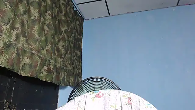 maggi hotsson online show from 11/17/25, 11:53