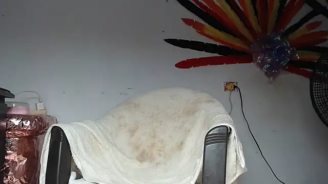 maggi hotsson online show from 04/10/26, 06:09