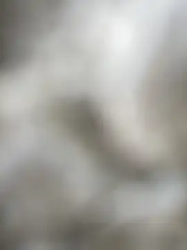 Foxxy Doll online show from 02/05/26, 03:19