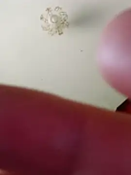 bullut06 online show from 02/10/26, 10:25