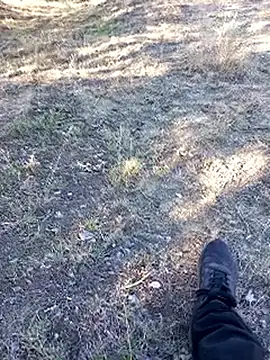 bullut06 online show from 09/23/25, 06:42