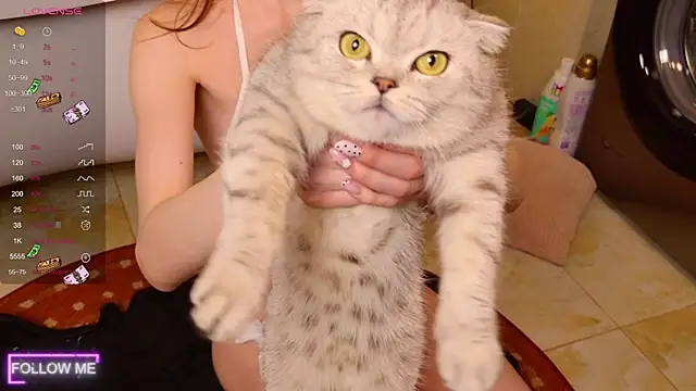 Angell Wild online show from 11/24/25, 03:01