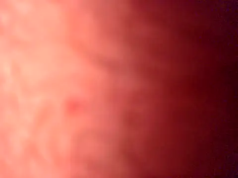 iamthepublickmasterbater online show from 04/19/26, 03:57