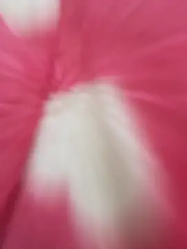 Chillo956 online show from 03/06/26, 03:29